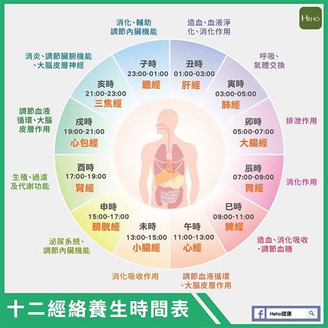 經絡時辰對照|十二時辰對應人體的經絡養生必備